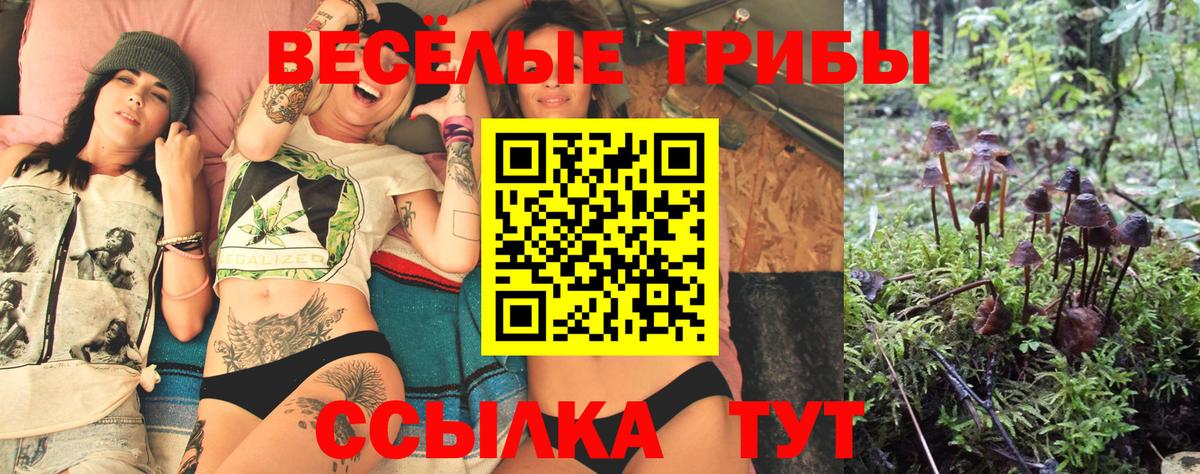 Коломна  купить наркотики сайты  Вход с VPN  Псилоцибиновые грибы Psilocybine cubensis 