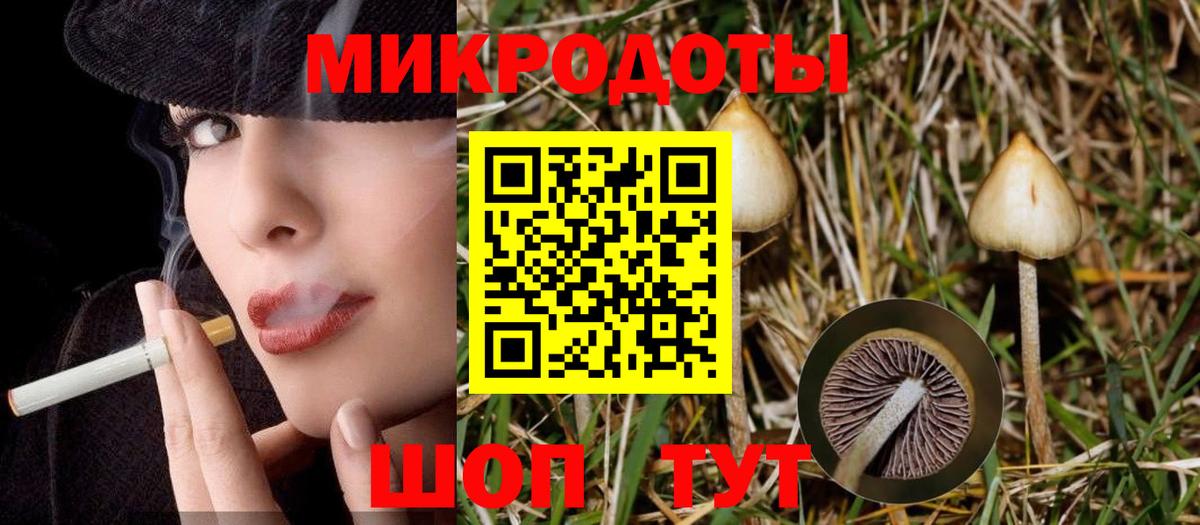 Псилоцибиновые грибы GOLDEN TEACHER Коломна
